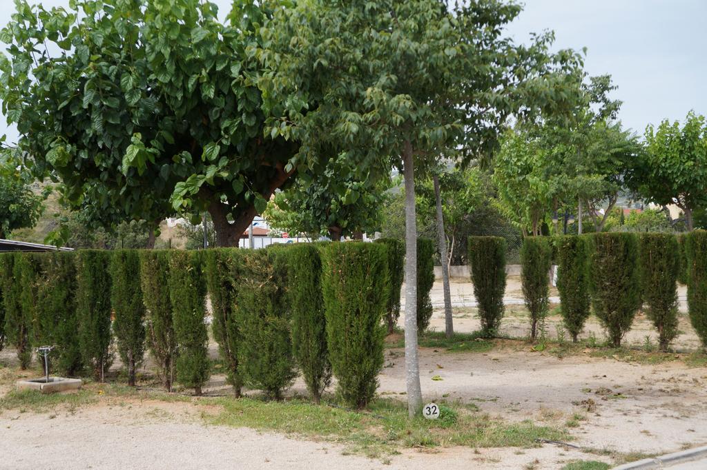 Peñíscola Camping Los Pinos מראה חיצוני תמונה